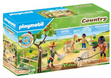 Playmobil 71251