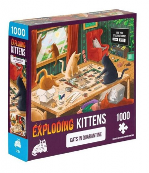 Asmodee EXKD0033