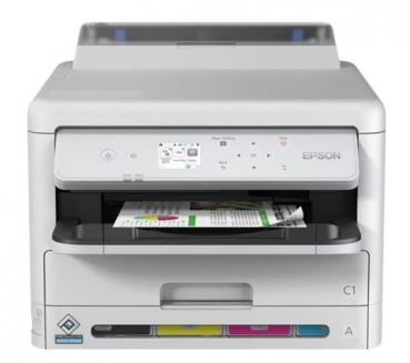 Epson C11CK25401