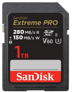 Sandisk SDSDXEP-1T00-GN4IN