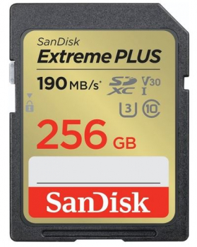 Sandisk SDSDXWV-256G-GNCIN