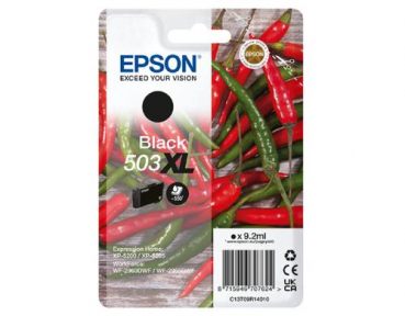 Epson C13T09R14010