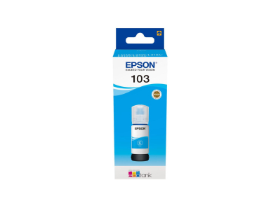 Epson C13T00S24A10