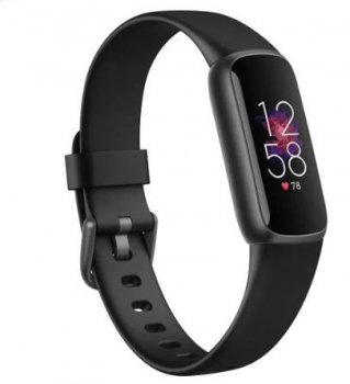 Fitbit FB422BKBK