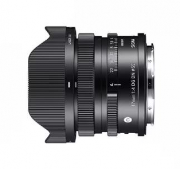 Sigma 415965