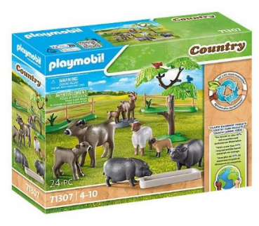 Playmobil 71307