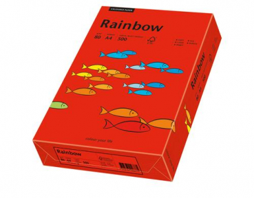 Rainbow 88042476