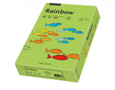 Rainbow 88042652