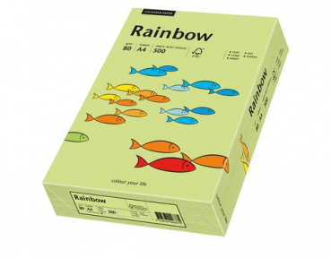 Rainbow 88042608