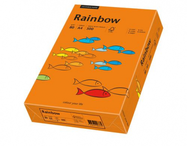 Rainbow 88042454