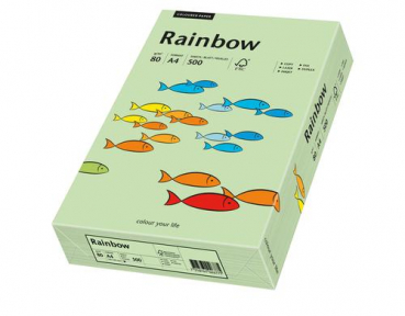 Rainbow 88042630