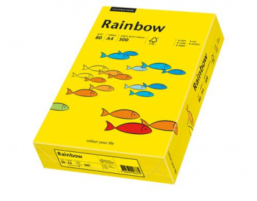 Rainbow 88042388