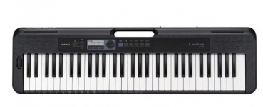 Casio CTS300