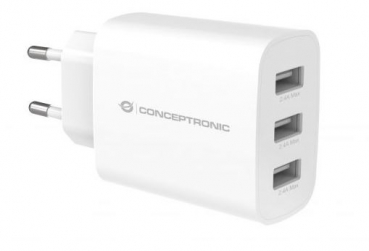 Conceptronic ALTHEA13W