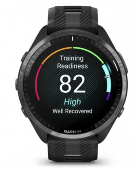 Garmin 010-02809-10