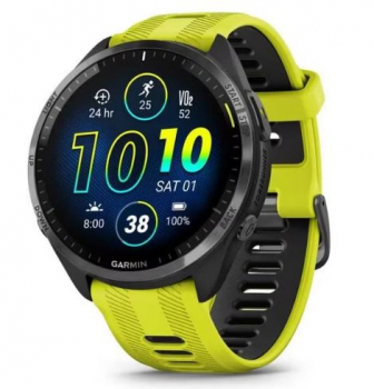 Garmin 010-02809-12