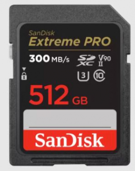 Sandisk SDSDXDK-512G-GN4IN