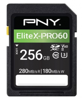 PNY P-SD256V60280EXP6-GE