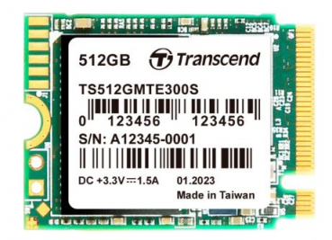 Transcend TS1TMTE300S