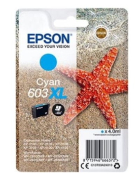 Epson C13T03A24020