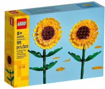 Lego 40524