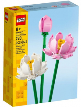 Lego 40647