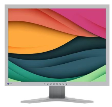 Eizo S2134-GY