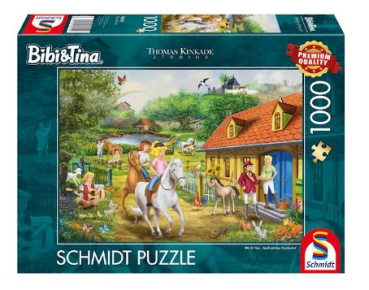 Schmidt Spiele 58425