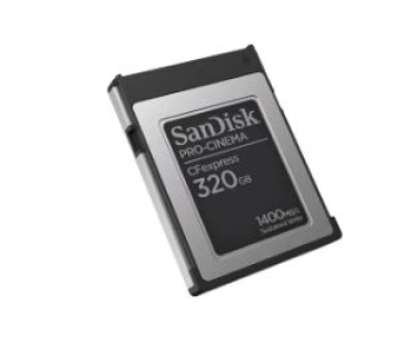 Sandisk SDCFEC-320G-GN4NN