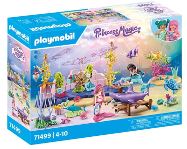 Playmobil 71499