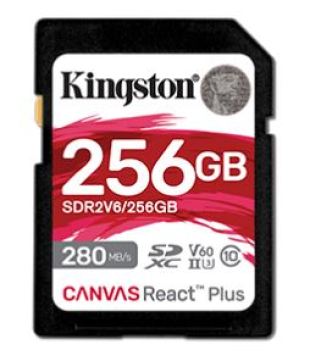 Kingston SDR2V6/256GB