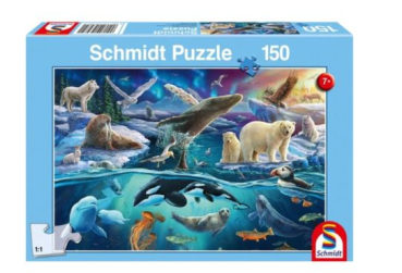 Schmidt Spiele 56484