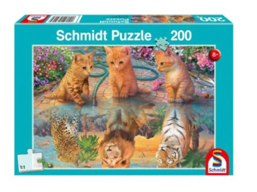 Schmidt Spiele 56516