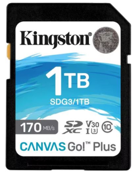 Kingston SDG3/1TB