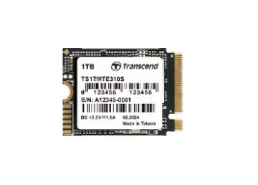 Transcend TS1TMTE310S