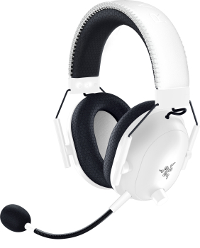 Razer RZ04-04530400-R3M1