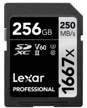 Lexar LSD256CB1667