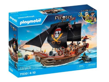 Playmobil 71530