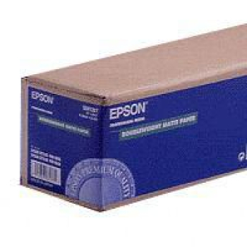 Epson C13S041387