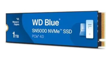 Western Digital WDS100T4B0E