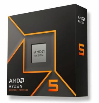 AMD 100-100001405WOF