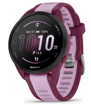 Garmin 010-02863-33